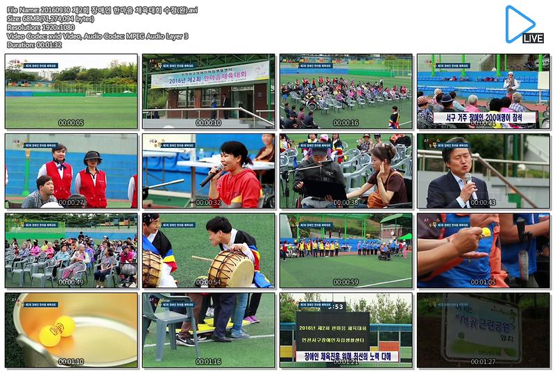 [서구 톡톡 40회] 20160930 제2회 장애인 한마음 체육대회 사진